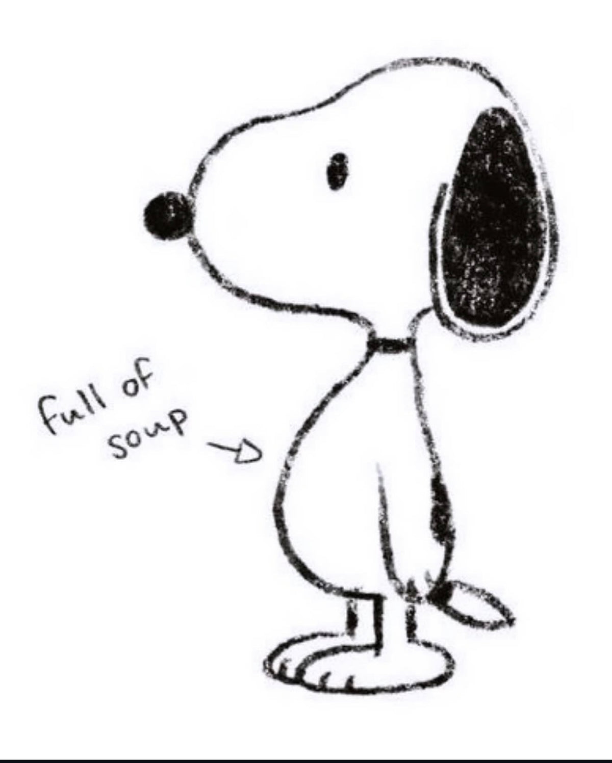 Limited Snoopy Knit Set Collection